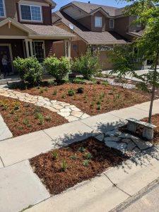 Fort Collins xeriscape design with rock pathways and mulch