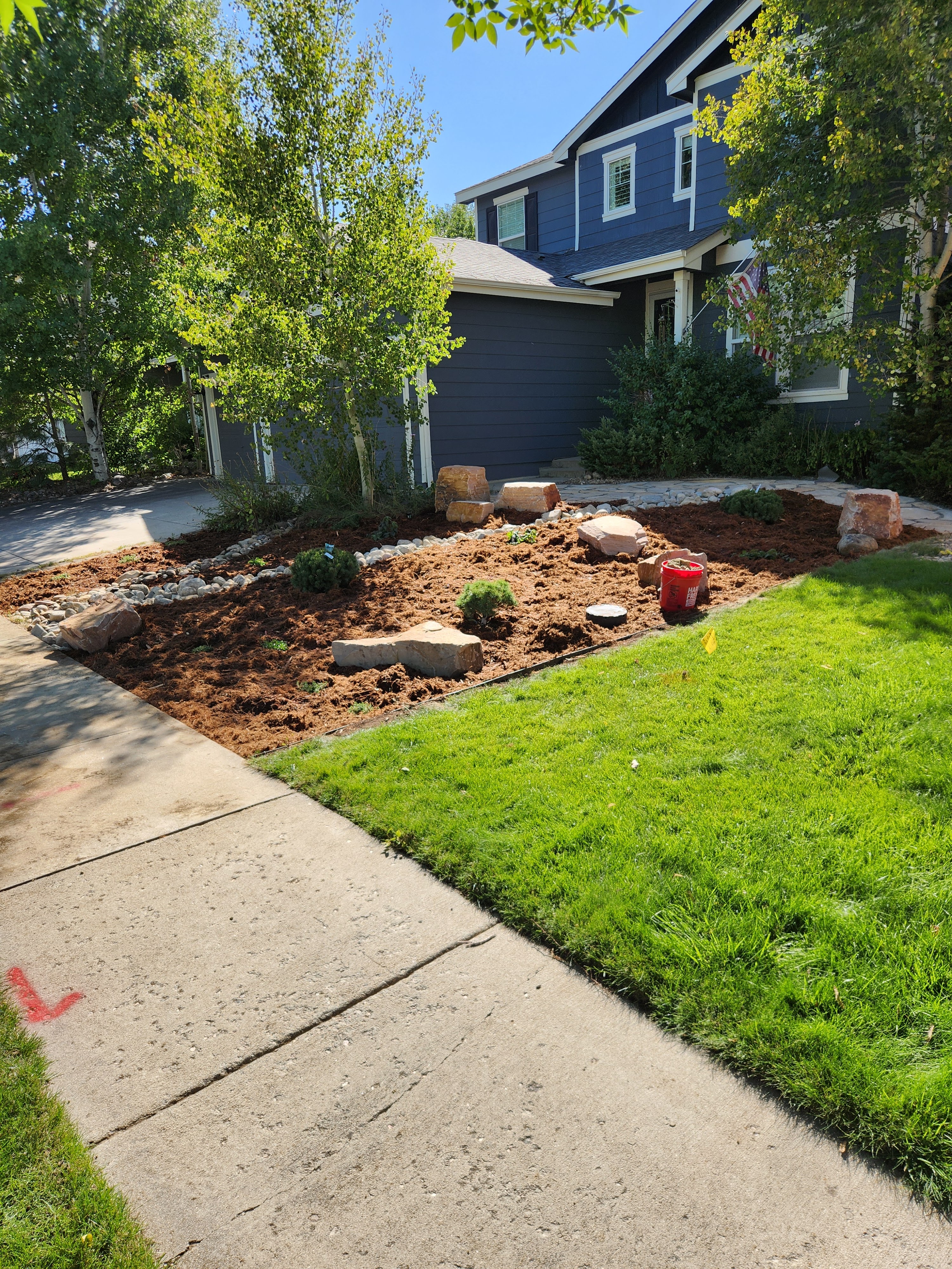 Fort Collins front yard with green grass and mulch bed with plants