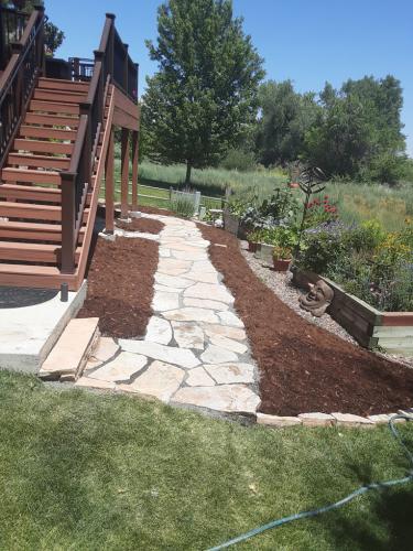Flagstone pathway with mulch bed in Fort Collins