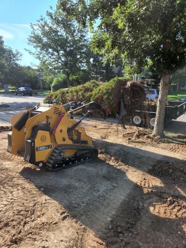 Skid Steer with tree removal project in Fort Collins
