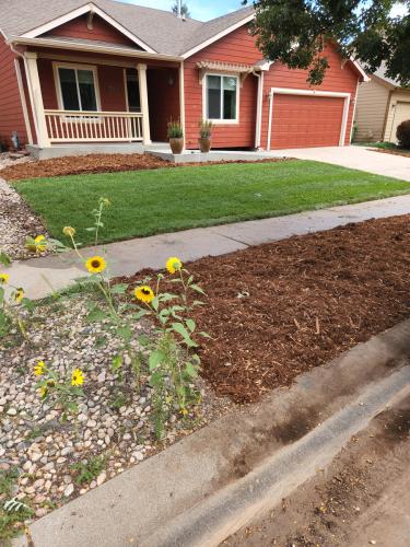 Mulch and turf landscape design in Fort Collins
