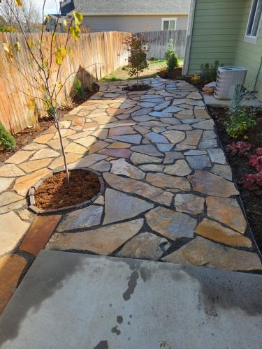 Tree planting and landscape design in Fort Collins