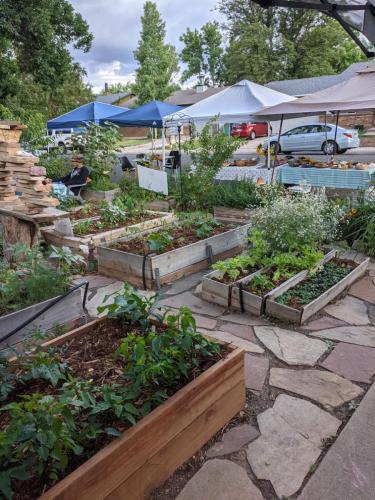 Garden beds and planter beds in Fort Collins, Colorado