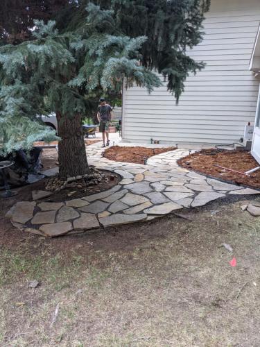 Stone patio around tree and landscaping in Fort Collins