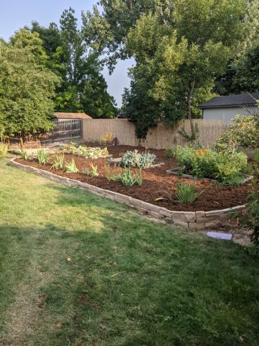 Lawn with large garden bed by Linden Leaf Landscapes in Fort Collins, Colorado