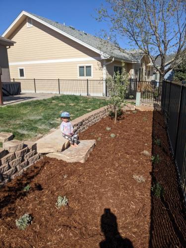 Custom mulch bed and retaining wall with grass in Fort Collins