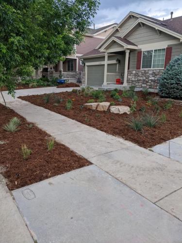 Xeriscape landscape design with mulch and plants in Fort Collins