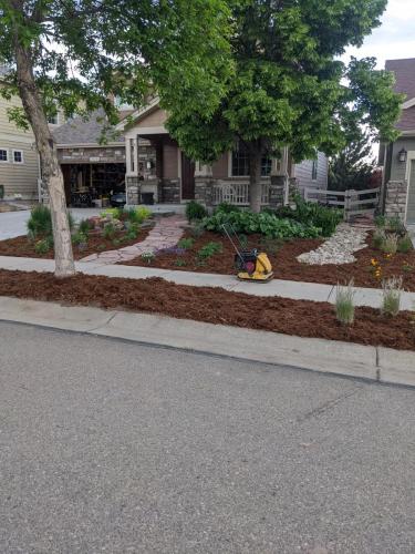 Xeriscape project with mulch and plants in Fort Collins