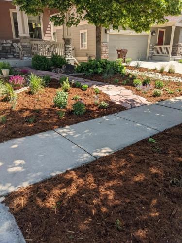 Mulch beds and planting in Fort Collins