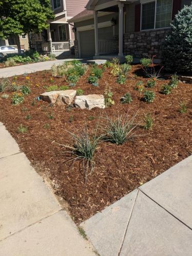 Mulch bed with rocks in Fort Collins